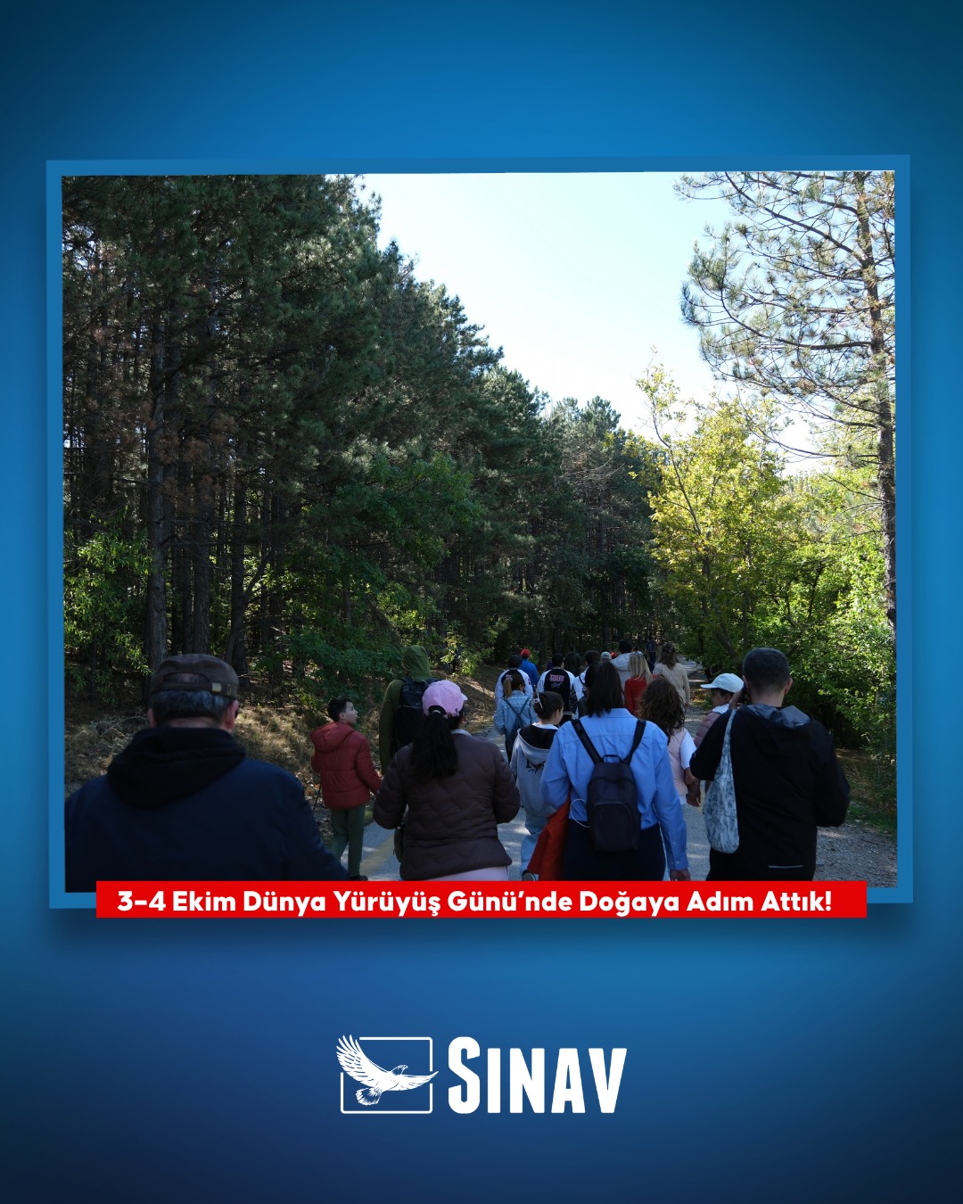 card-1